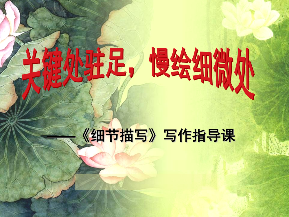 细节描写公开课(张)