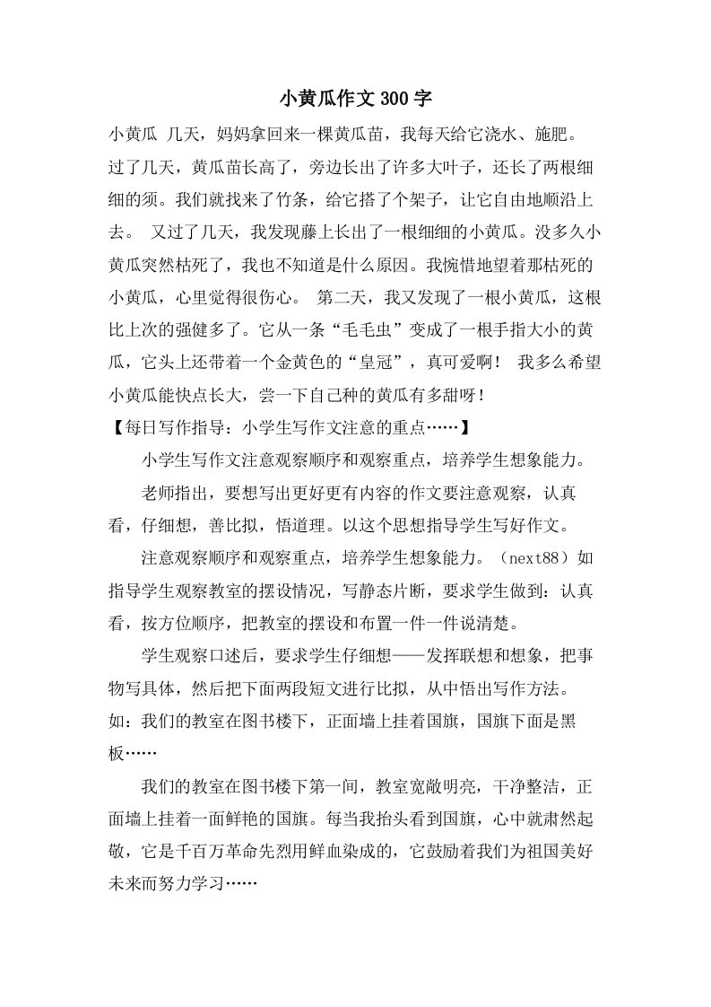 小黄瓜作文300字