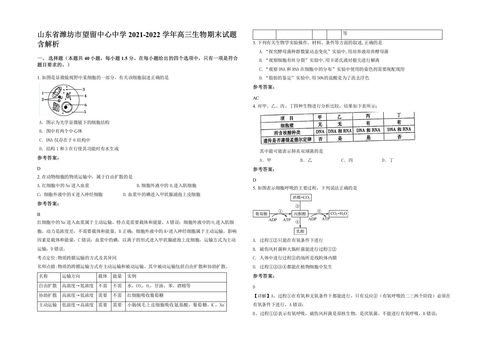 山东省潍坊市望留中心中学2021-2022学年高三生物期末试题含解析