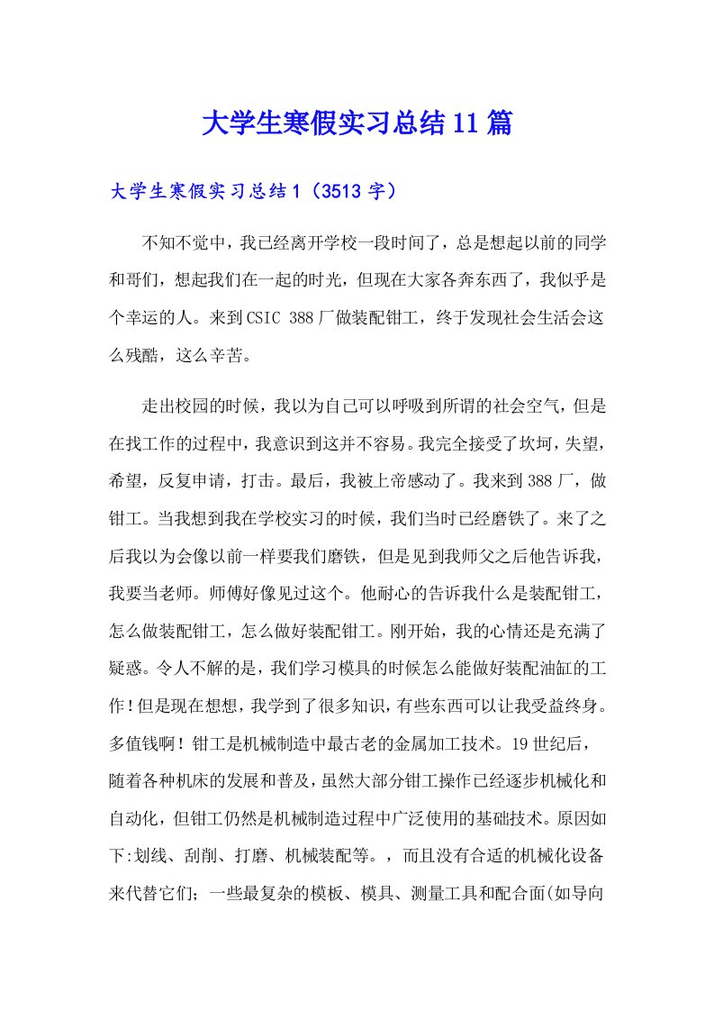 大学生寒假实习总结11篇