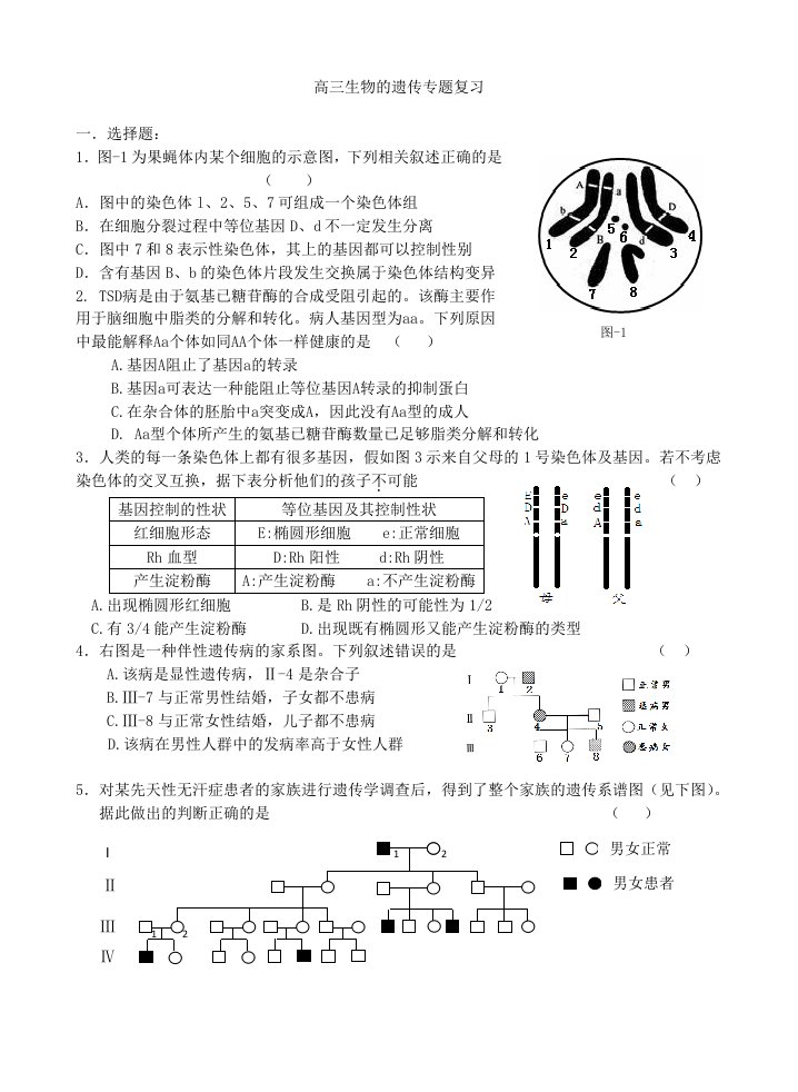 高三生物的遗传专题复习