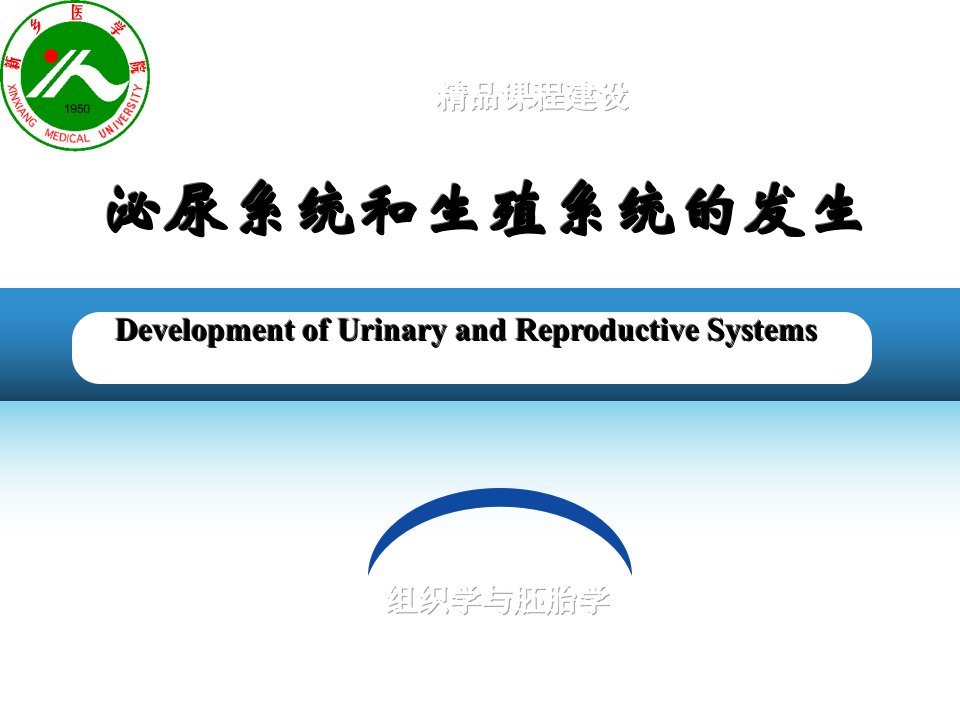 医学专题泌尿系统及生殖系统的发生
