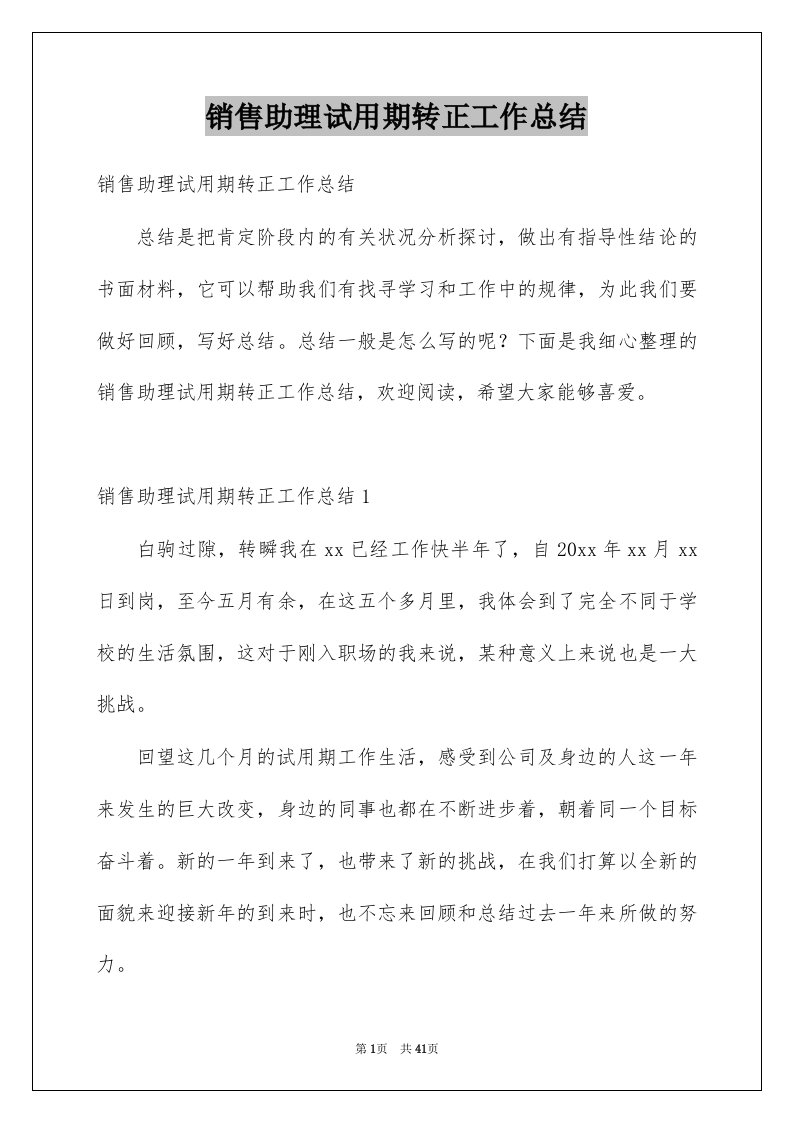 销售助理试用期转正工作总结例文