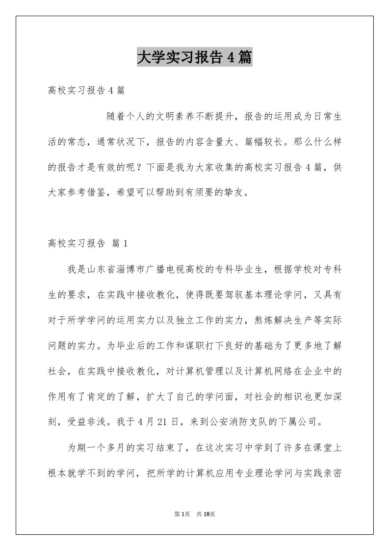 大学实习报告4篇例文5