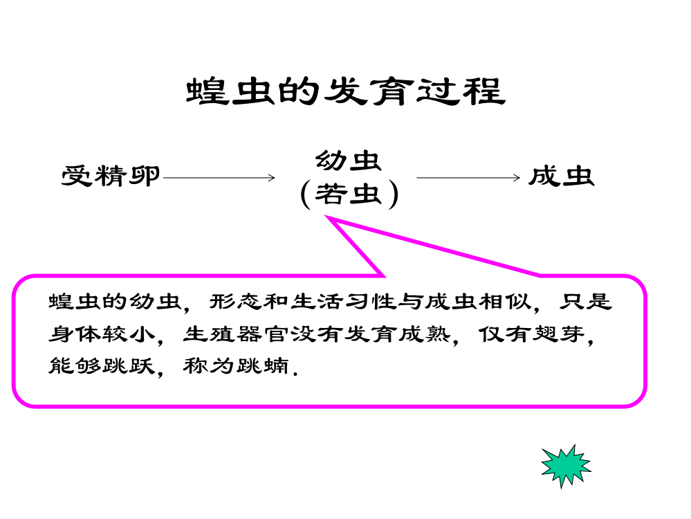 昆虫的生殖和发育