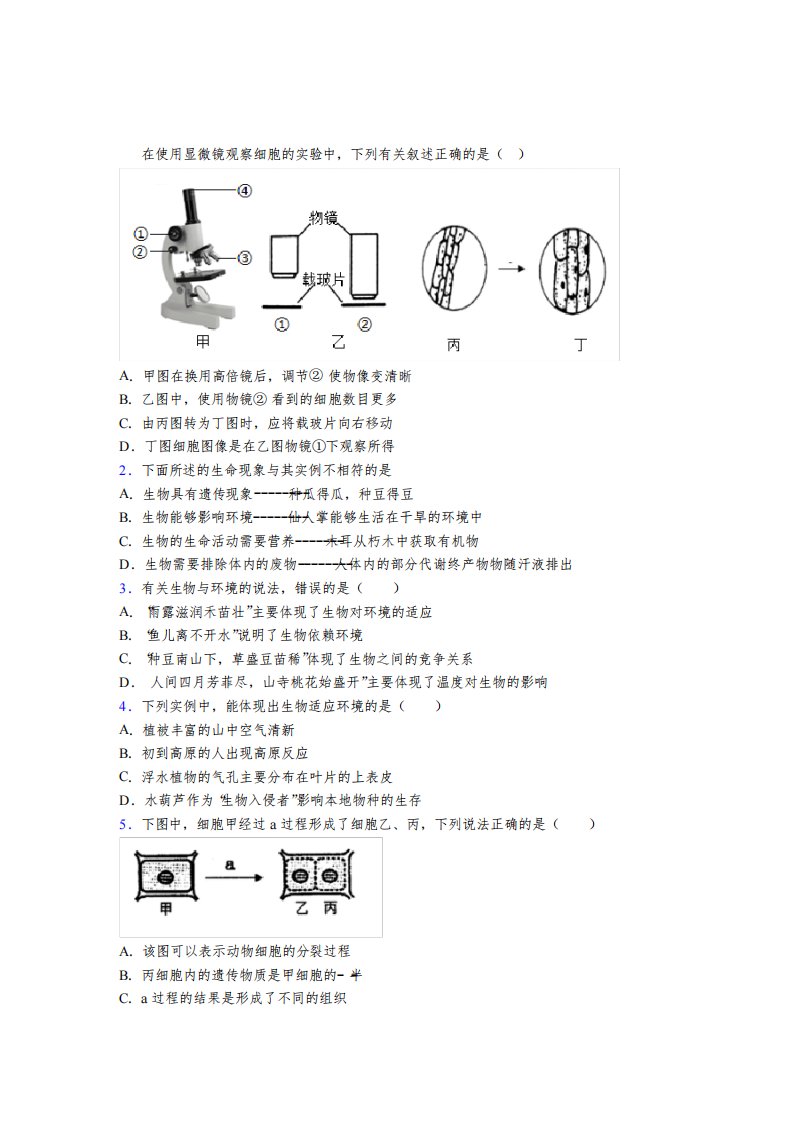 生物初一下册期末模拟质量检测试卷附答案