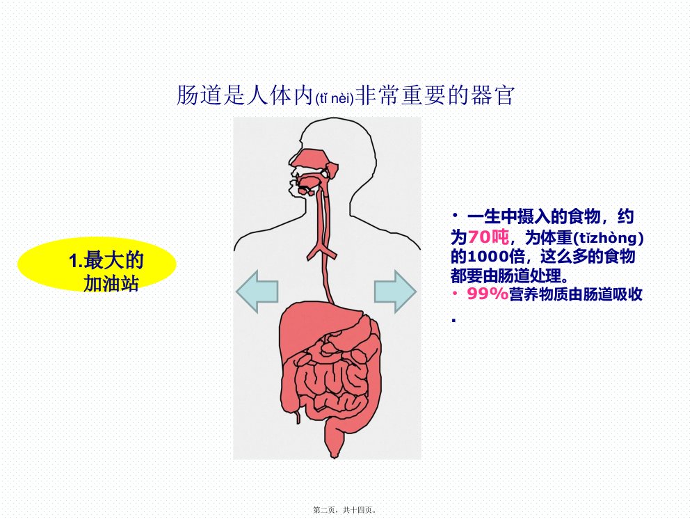 医学专题月6日肠道健康科普讲稿