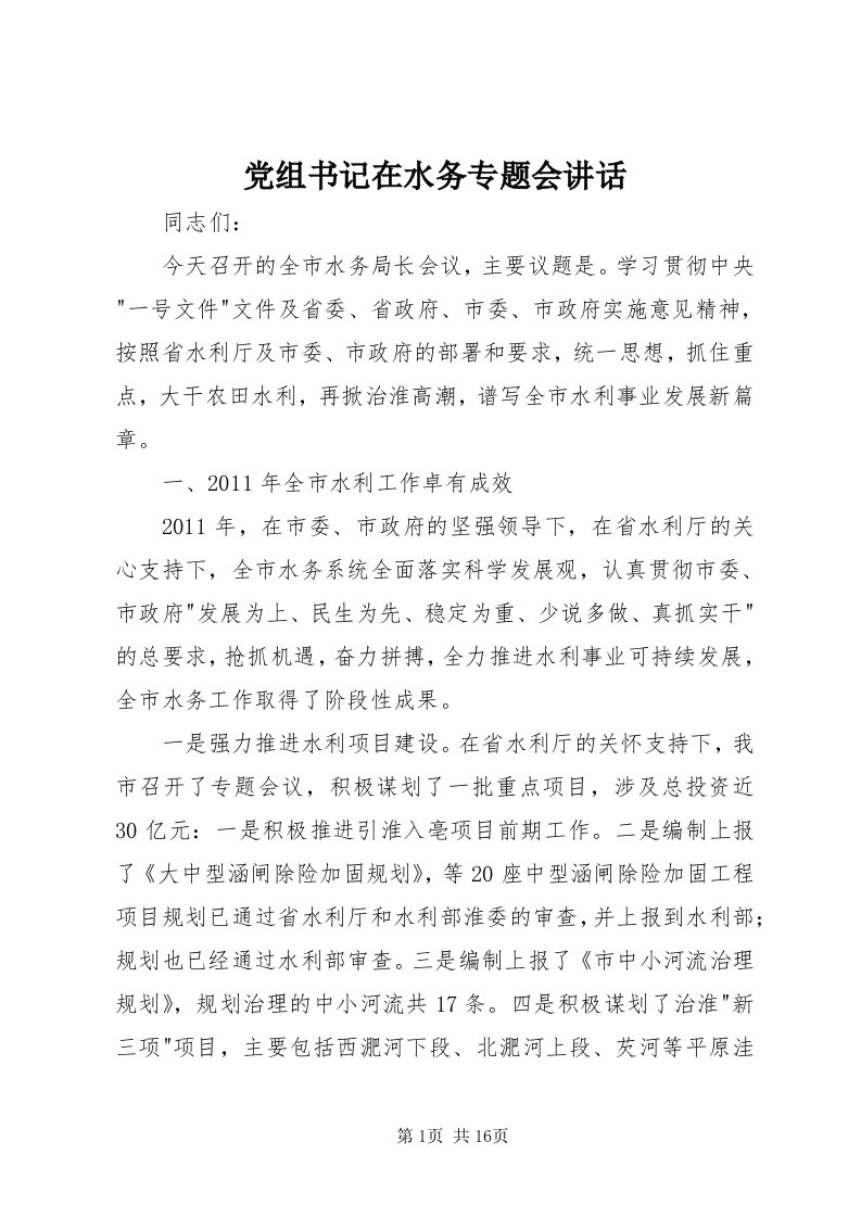 党组书记在水务专题会致辞