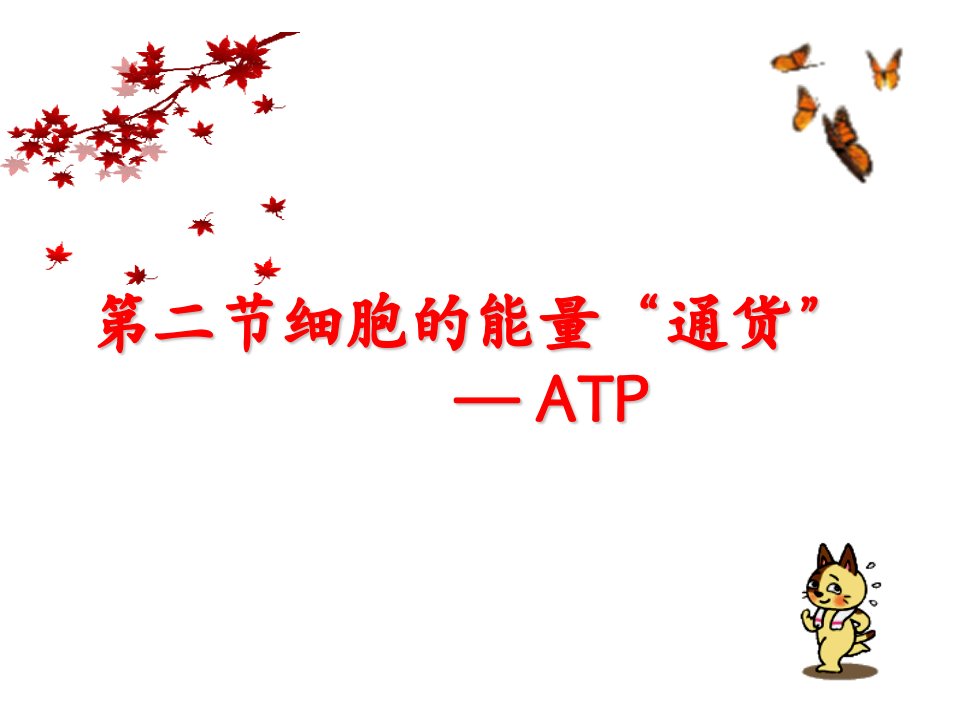 高一生物必修一第五章第二节《细胞的能量“通货”--ATP》课件