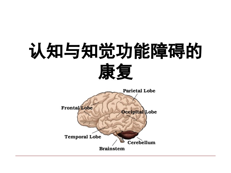 认知与知觉障碍的康复1培训课件