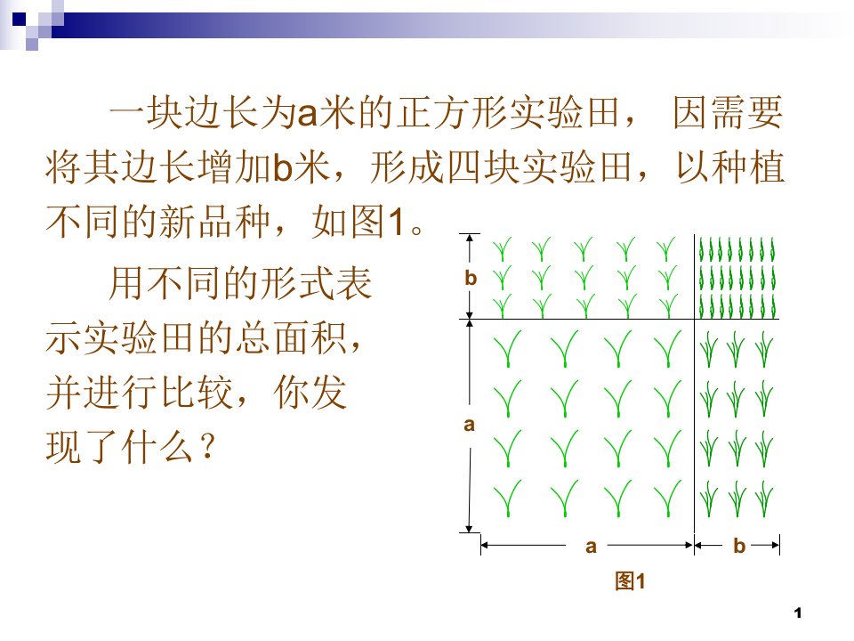 七年级数学完全平方公式