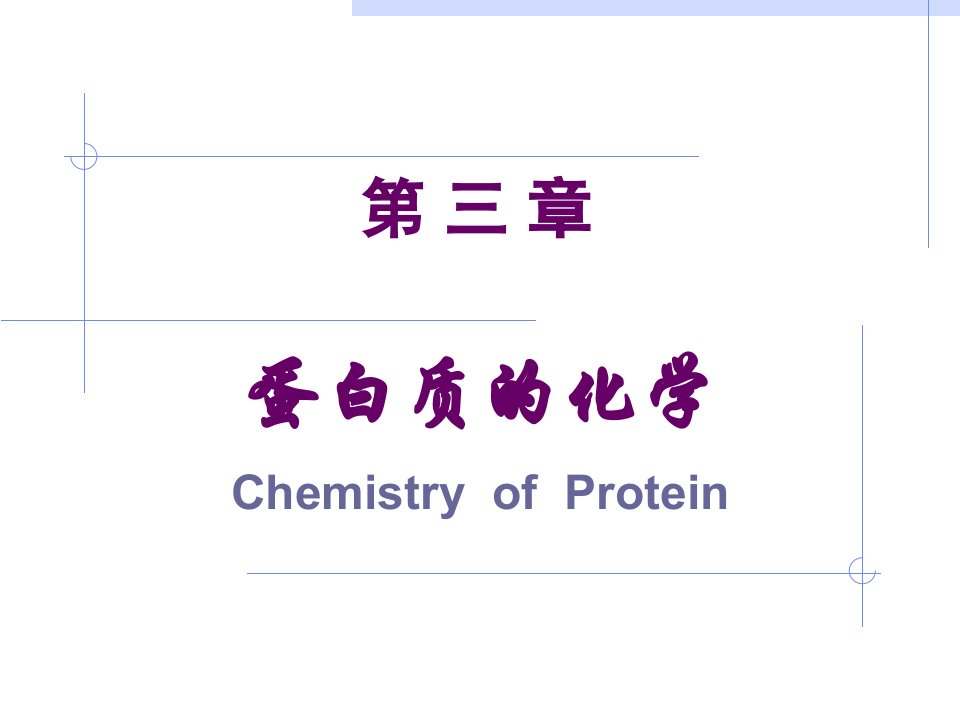 蛋白质的化学