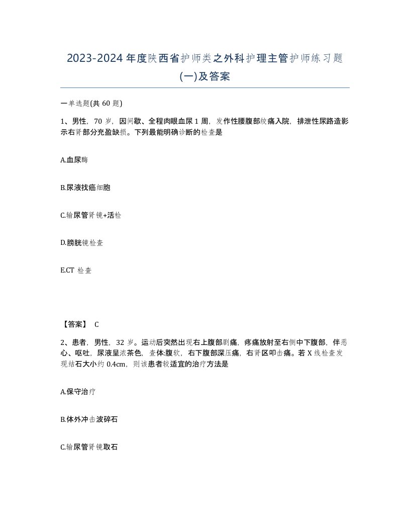 2023-2024年度陕西省护师类之外科护理主管护师练习题一及答案