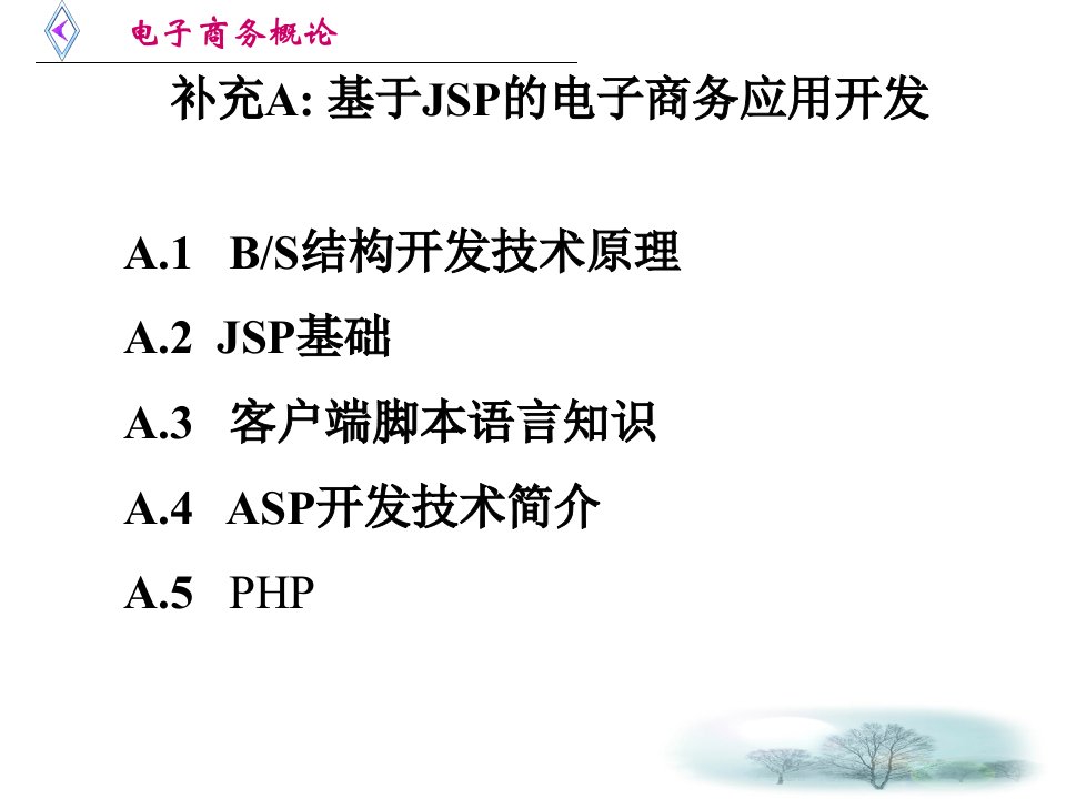 基于JSP的电子商务应用开发环境