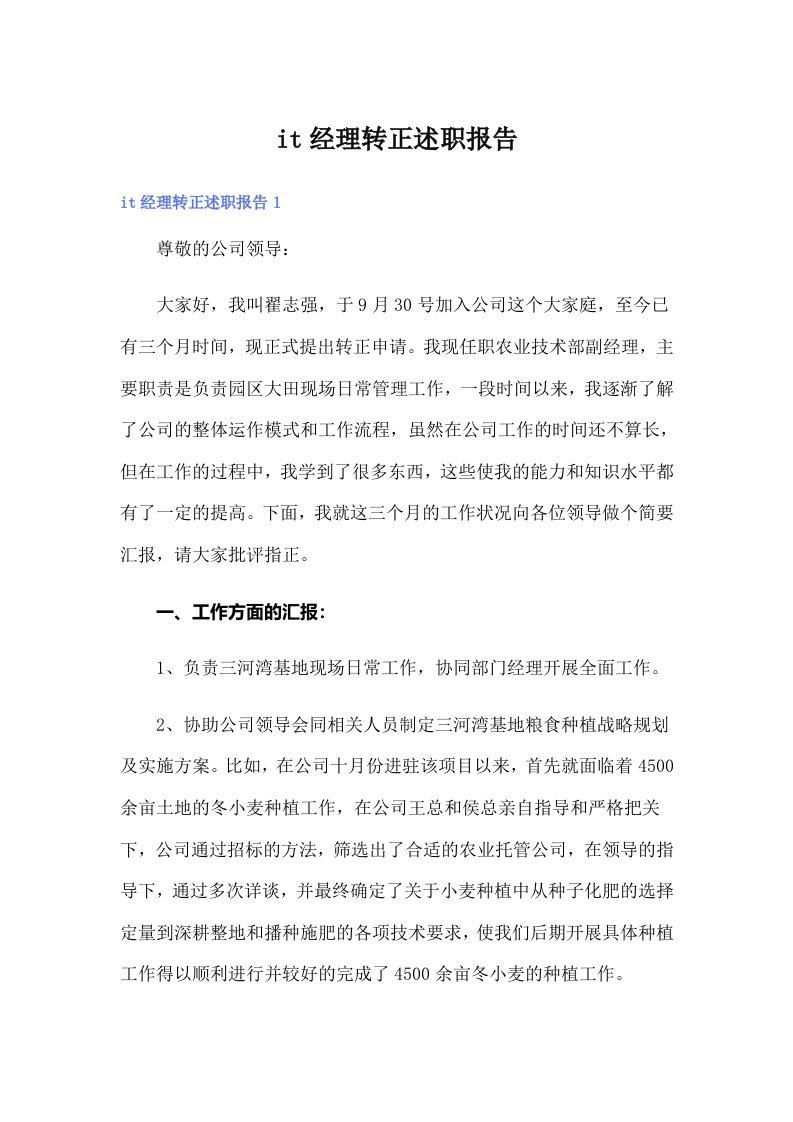 it经理转正述职报告