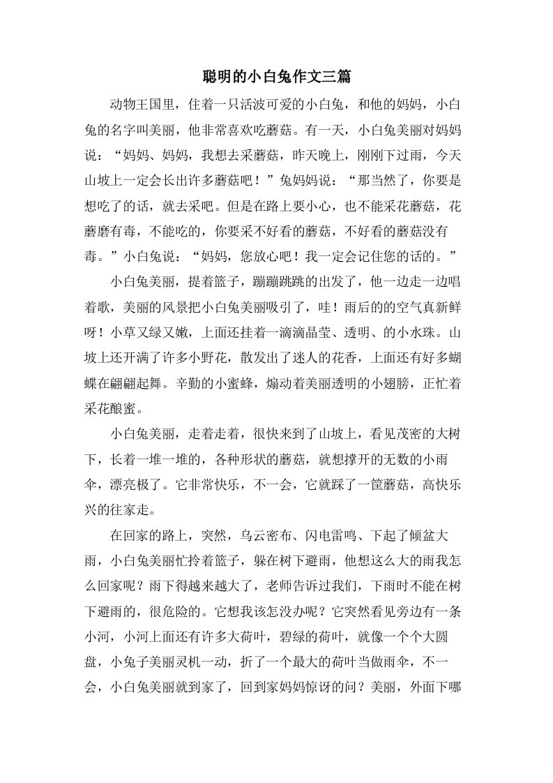 聪明的小白兔作文三篇