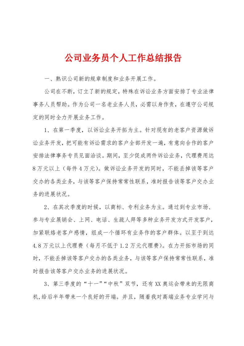 公司业务员个人工作总结报告