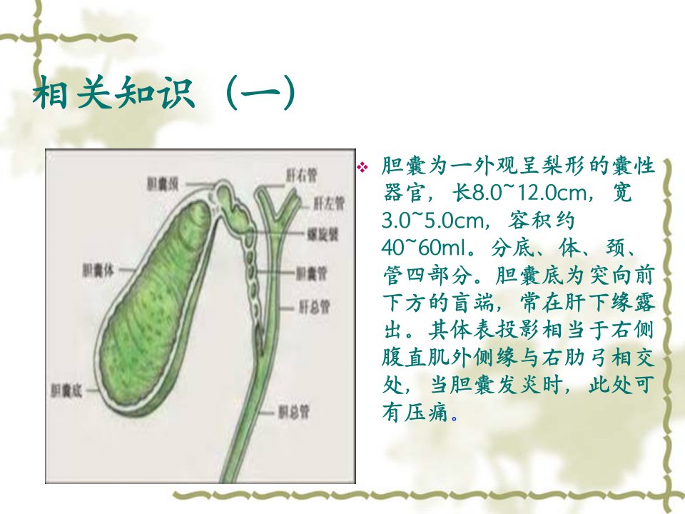 腹腔镜胆囊切除术贾莎课件