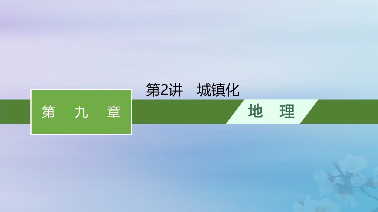 适用于新高考新教材福建专版2024届高考地理一轮总复习第9章乡村和城镇第2讲城镇化课件