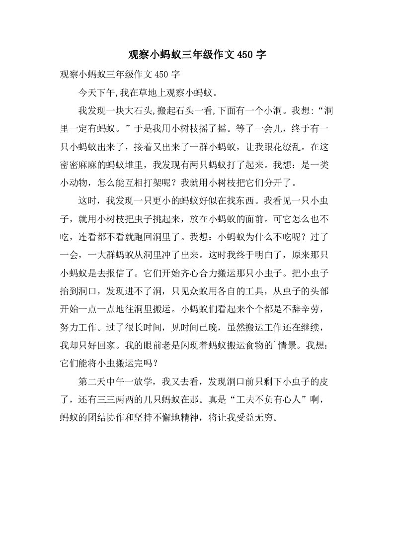 观察小蚂蚁三年级作文450字