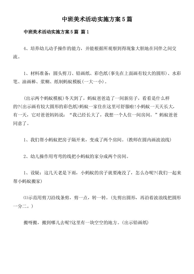 中班美术活动实施方案5篇