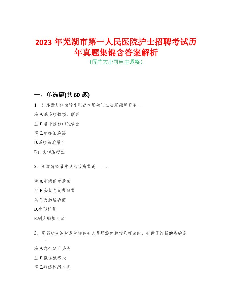 2023年芜湖市第一人民医院护士招聘考试历年真题集锦含答案解析