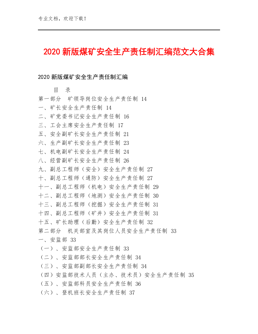 2020新版煤矿安全生产责任制汇编范文大合集