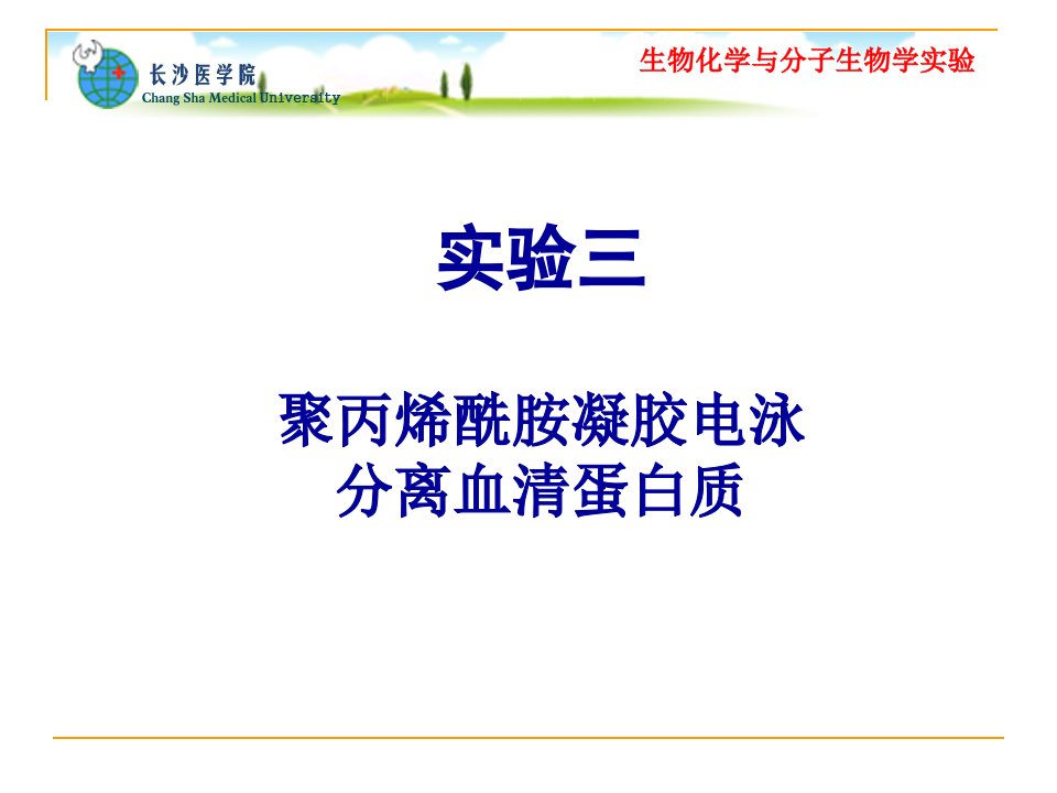 实验三聚丙烯酰胺凝胶电泳分离血清蛋白质