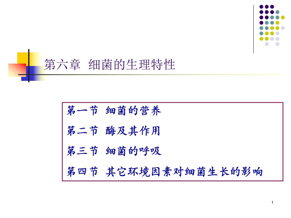 水处理微生物ppt课件第六章