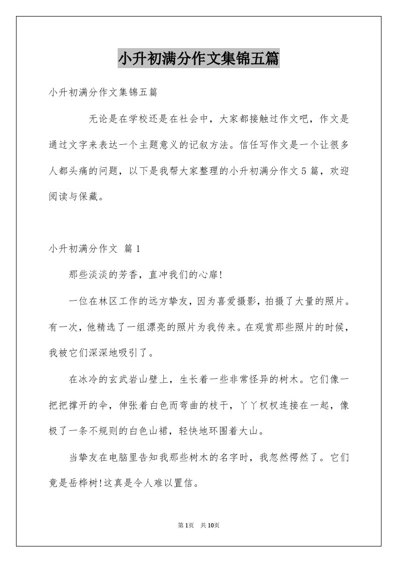 小升初满分作文集锦五篇精选