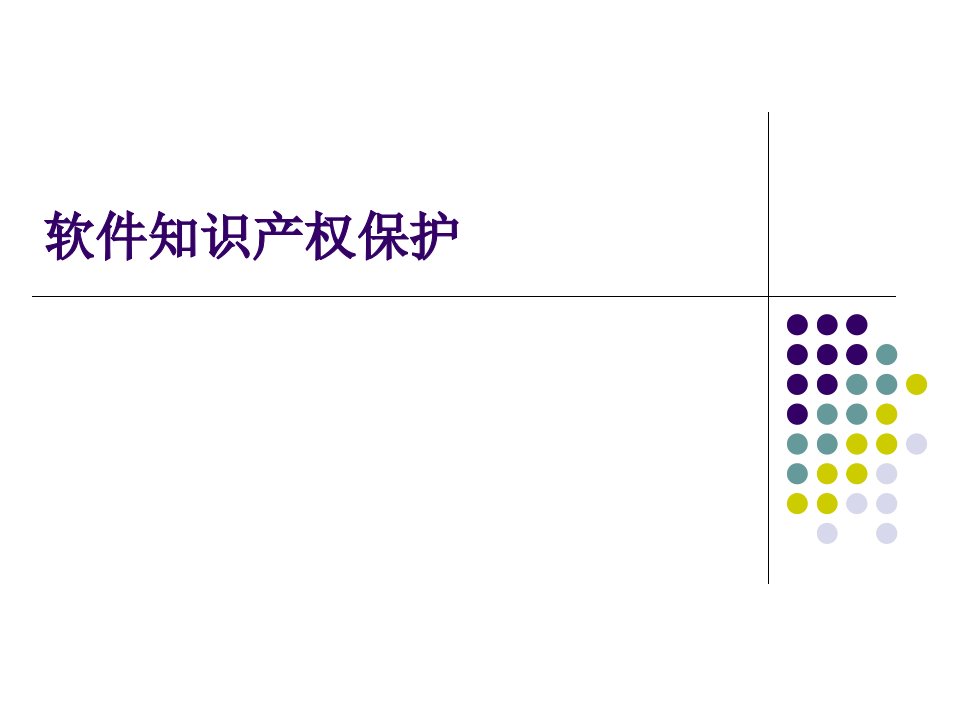 软件知识产权保护