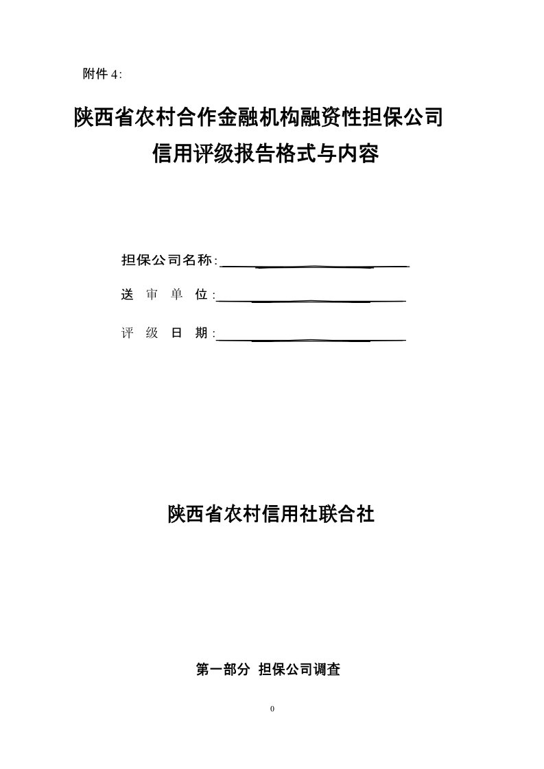 融资性担保公司评级报告模板