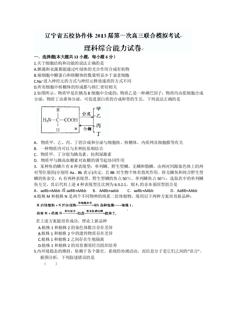 辽宁省五校协作体2013届高三第一次模拟考试理科综合试题