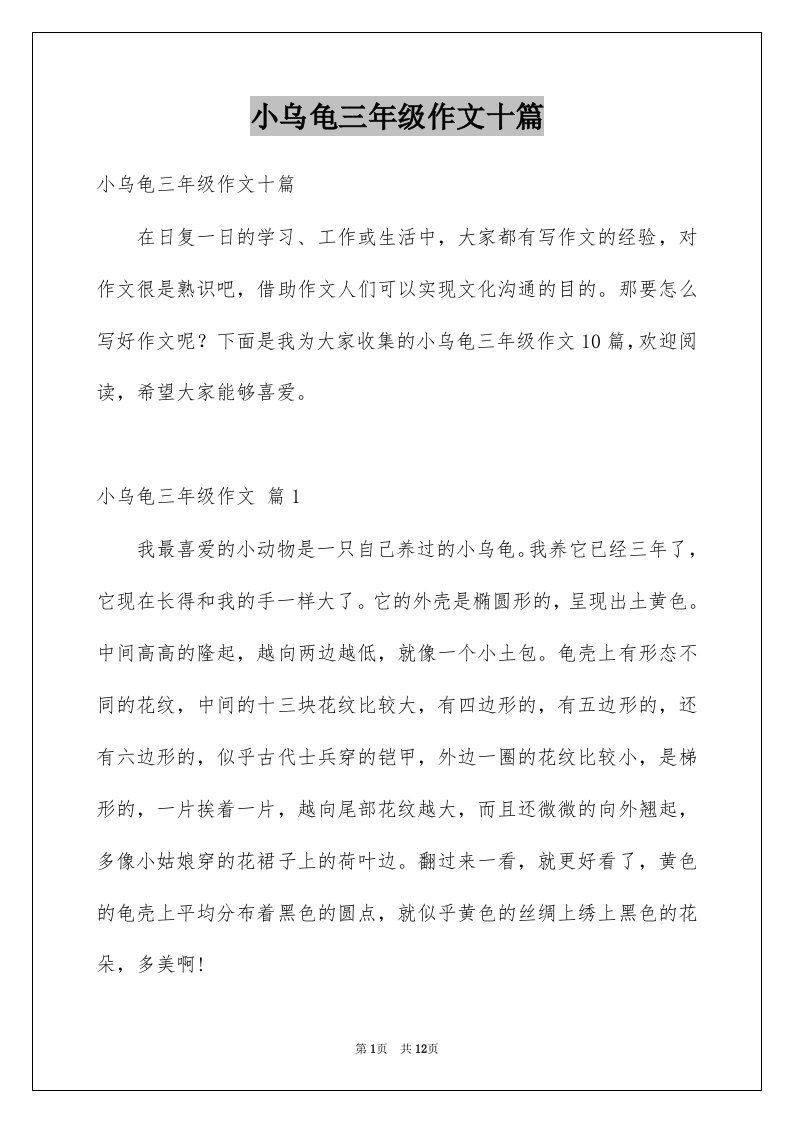 小乌龟三年级作文十篇例文