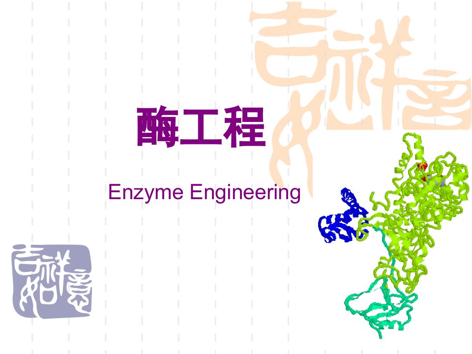 酶工程教学课件PPT