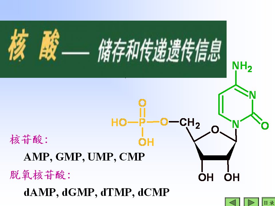 基因工程生物化学