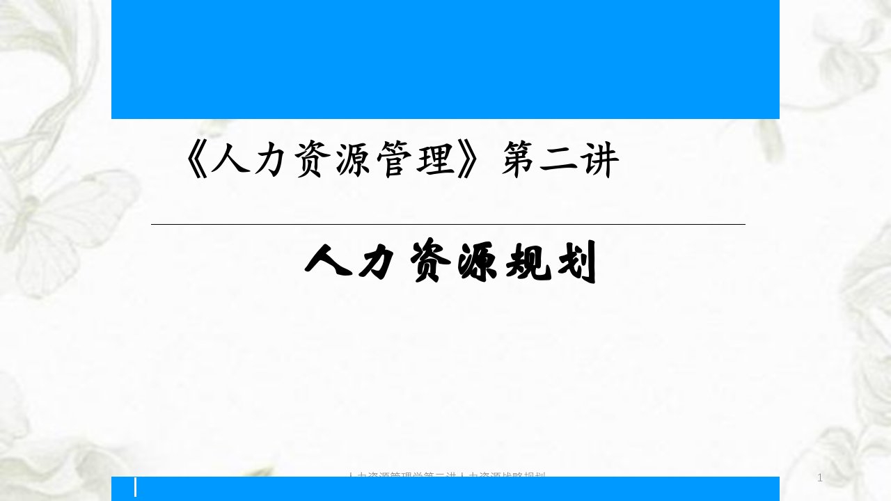 人力资源管理学第二讲人力资源战略规划ppt课件