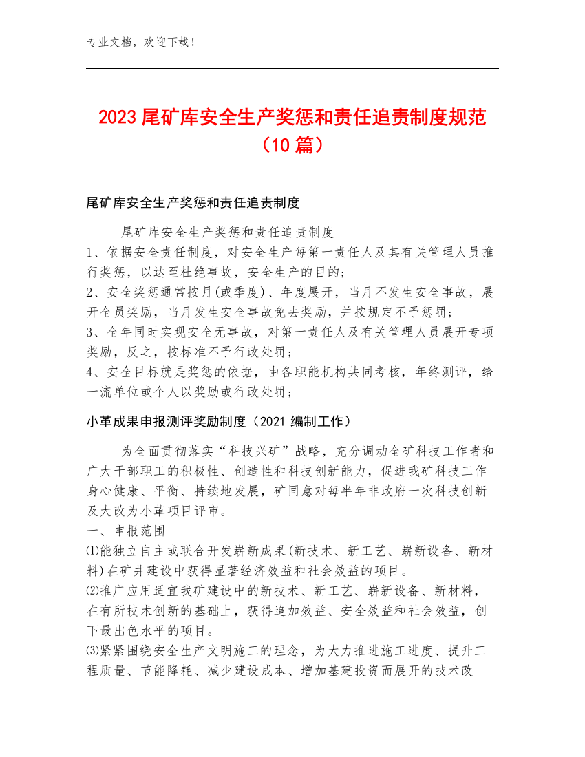 2023尾矿库安全生产奖惩和责任追责制度规范（10篇）