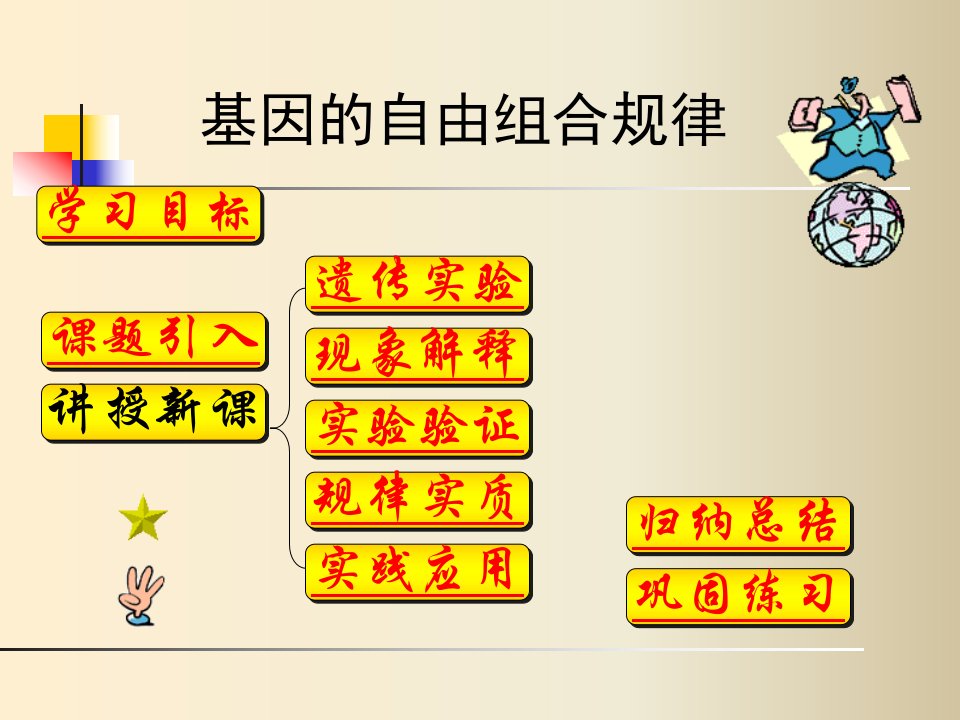 《基因的自由组合》PPT课件