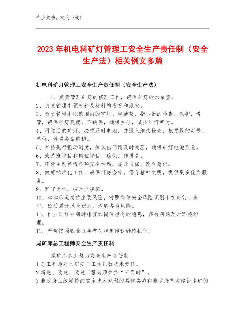 2023年机电科矿灯管理工安全生产责任制（安全生产法）例文多篇