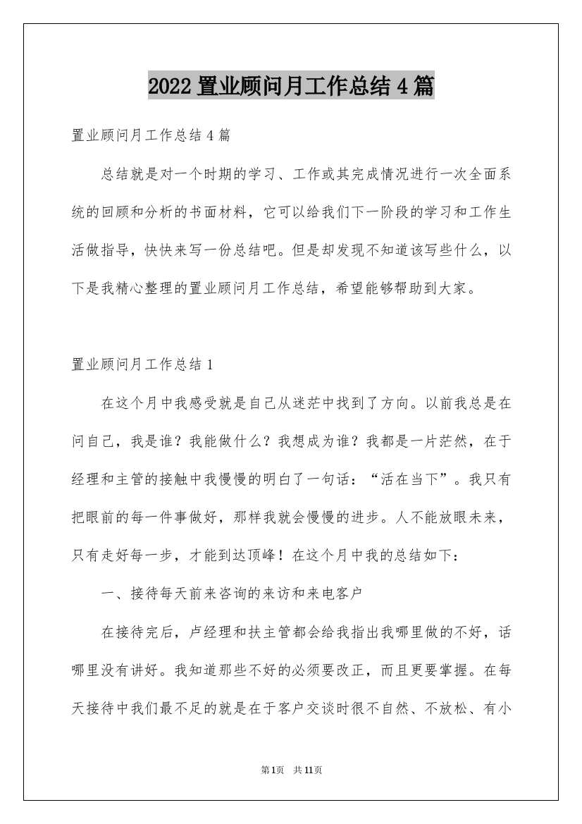 2022置业顾问月工作总结4篇