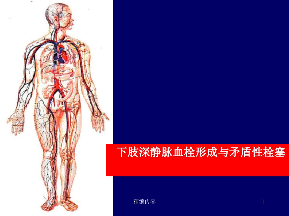 下肢静脉血栓深静脉血栓形成血管外科深度分析