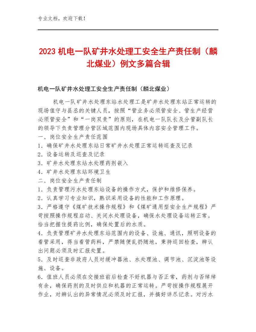 2023机电一队矿井水处理工安全生产责任制（麟北煤业）例文多篇合辑