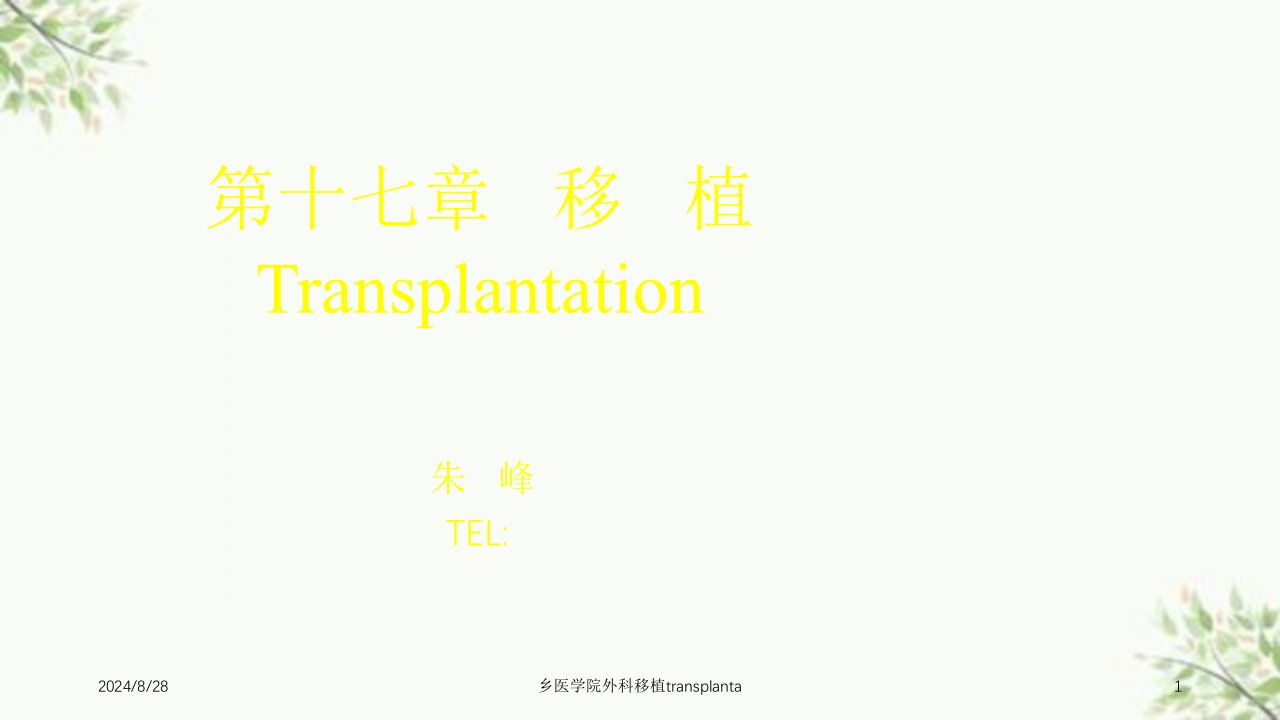 乡医学院外科移植transplanta课件