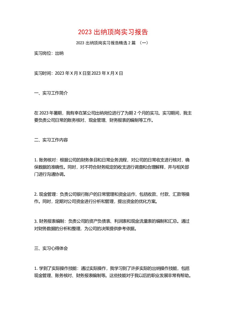 2023出纳顶岗实习报告2篇