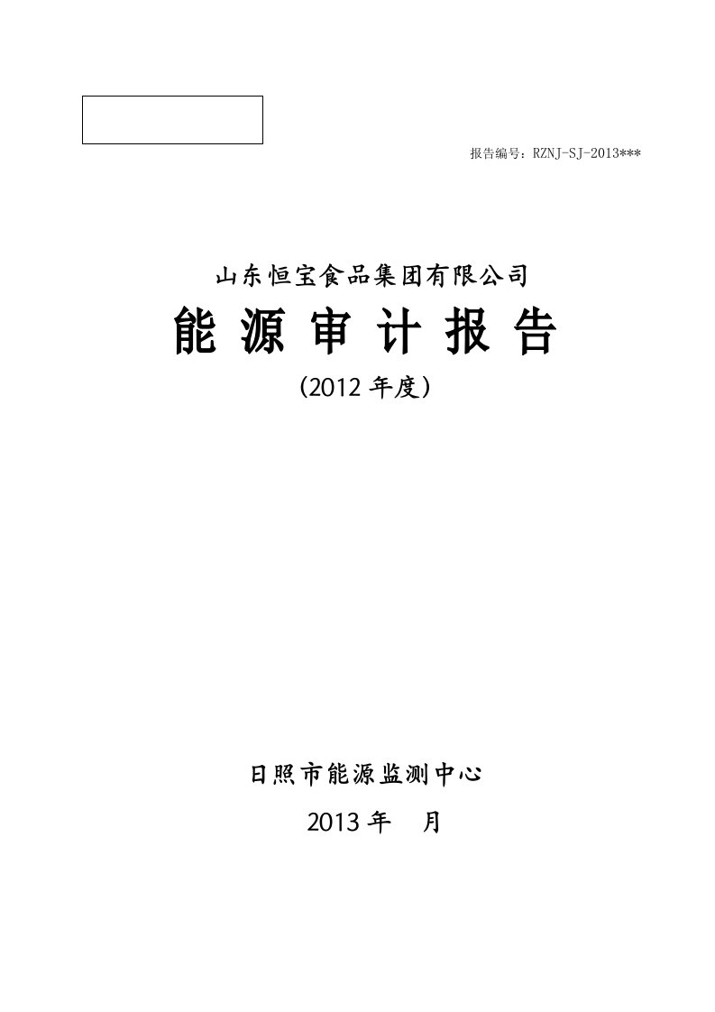 能源审计报告模板