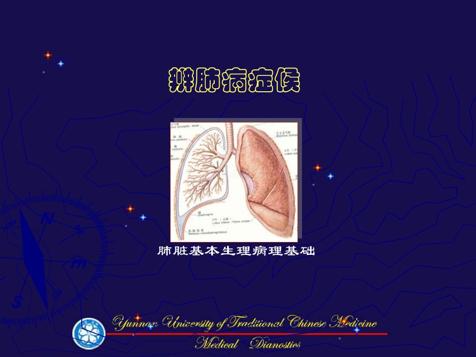 《辨肺病证候》PPT课件