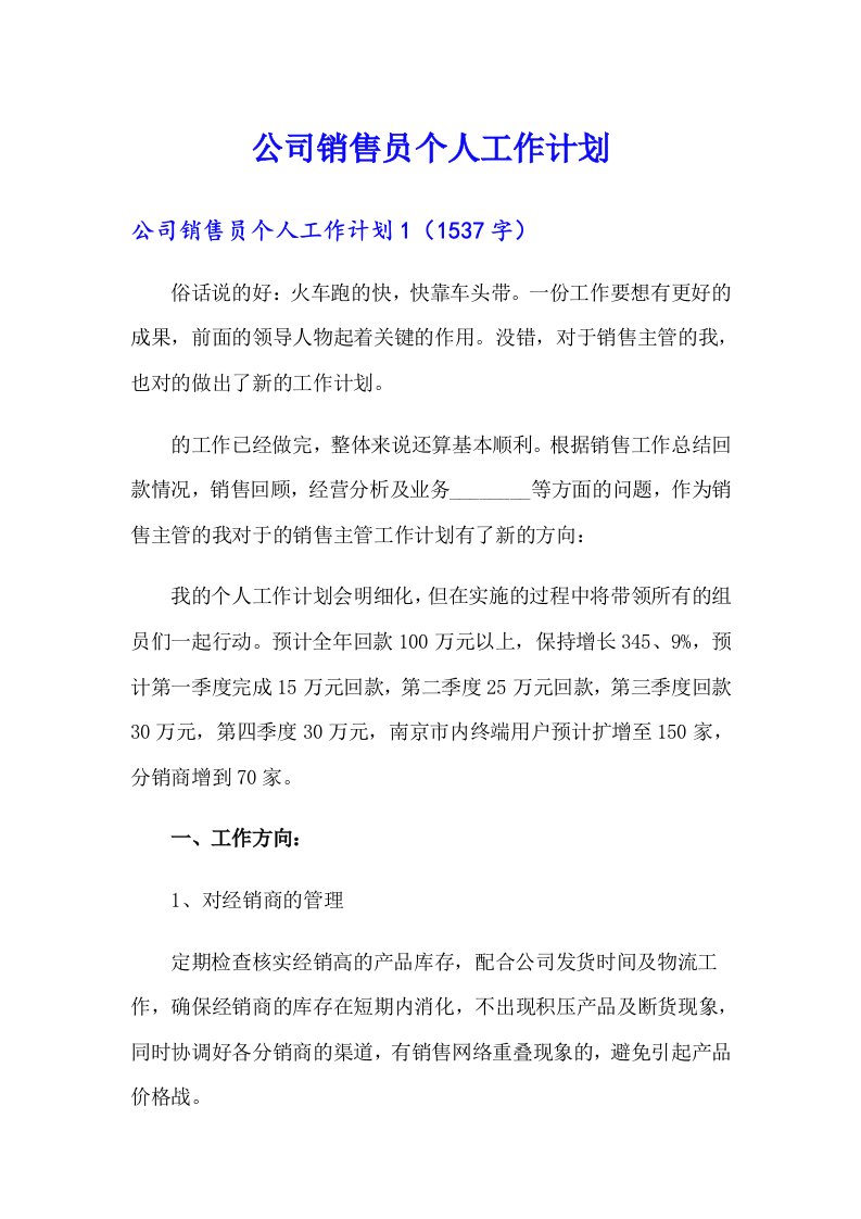 公司销售员个人工作计划