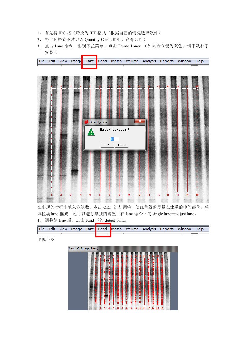 DGGE条带多样性指数等分析