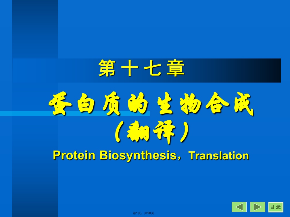 蛋白质的生物合成与修饰(共90张PPT)